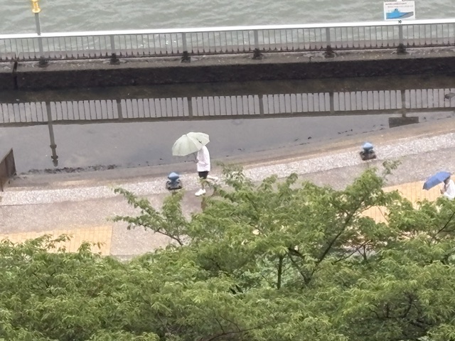 小雨の朝「心配しなくて大丈夫」