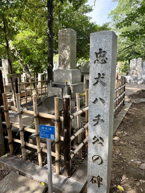 叔父の法事と青山墓地へお参り