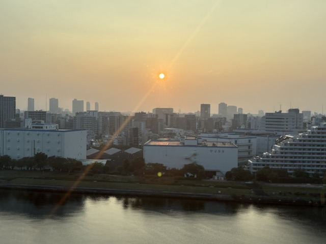 朝から蝉の大合唱「自分に嘘をつかない」