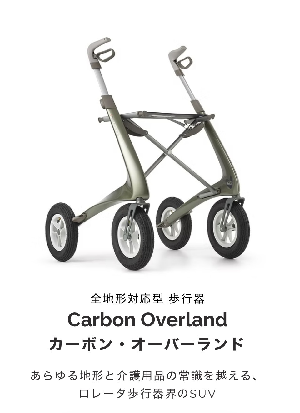 叔母の歩行器暴走族