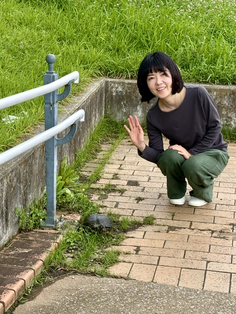 外来種アカミミガメ