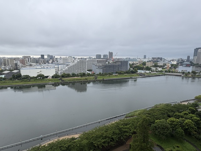 薄曇りの涼しい朝「忙しい人」