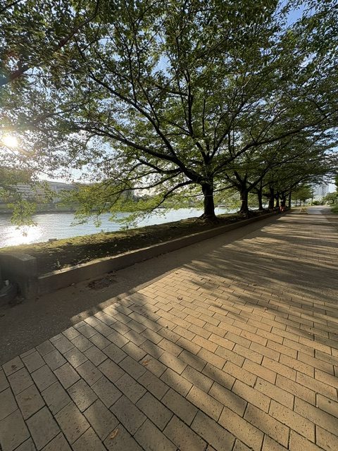 朝の気まぐれウォーキング−北東へ