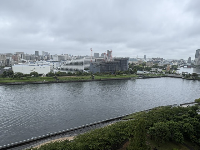 今朝も雨「ハラスメント」