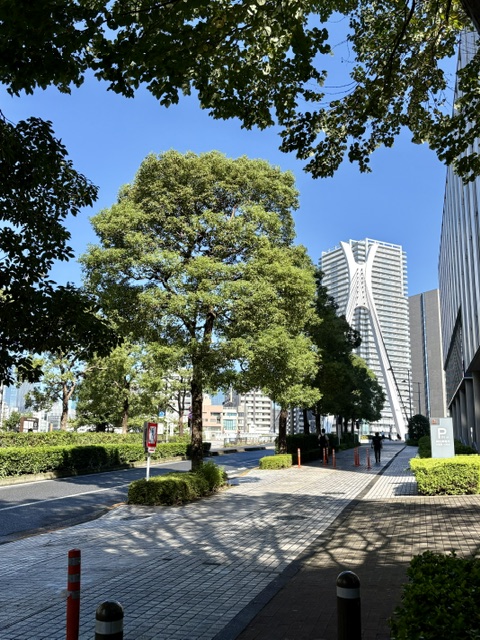 35日連続雨・更新講習6回目のご受講
