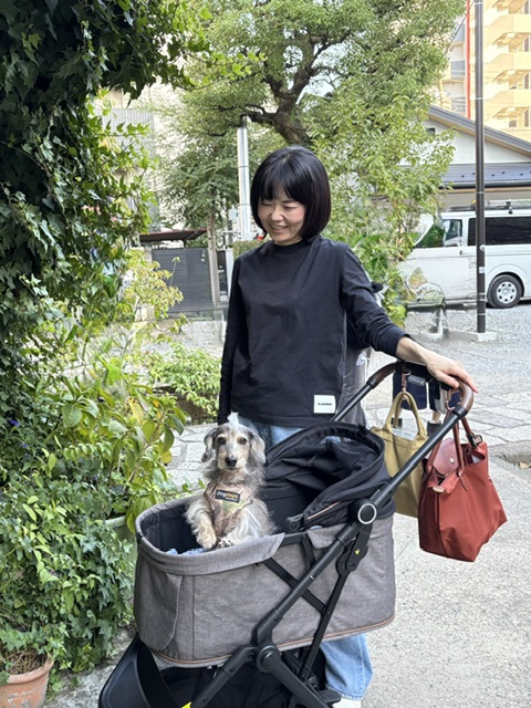 連休最終日はまーちゃんと浅草詣