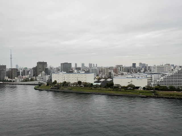 寒い霧雨の朝「放っておこう」