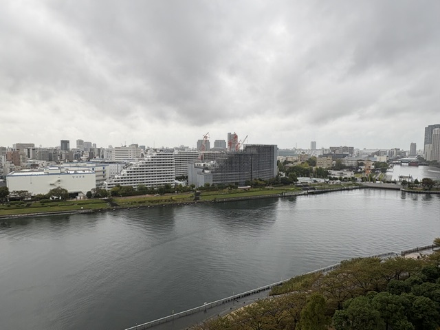 小雨の朝「自分の言葉」